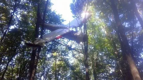 Bieszczady. Awionetka znaleziona na drzewie