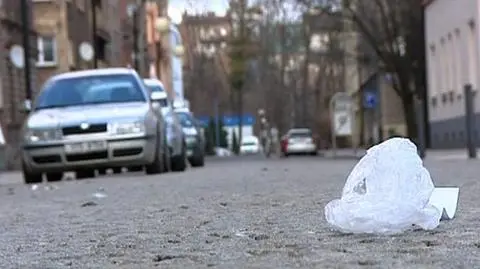 Polacy je kochają. Unia idzie na wojnę z plastikowymi torebkami