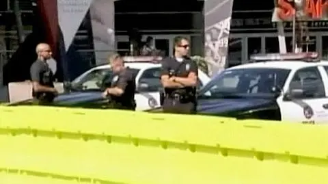 Rodzimi terroryści zatrzymani w USA
