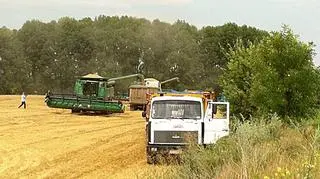 Na początku Chińczycy wejdą na pola obwodu dnipropietrowskiego