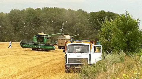 Chiny "wydzierżawią 5 proc. Ukrainy". Neokolonializm XXI wieku?