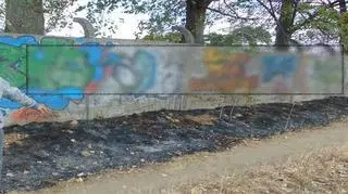 12-letni podpalacz traw zatrzymany