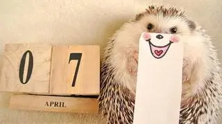 18