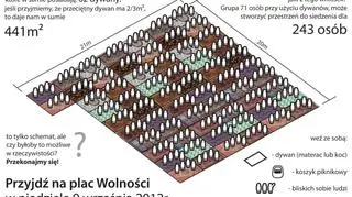 243 osoby mogą usiąść na 62 dywanach - wyliczają pomysłodawcy