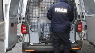 43-latek, decyzją sądu, trafił do aresztu