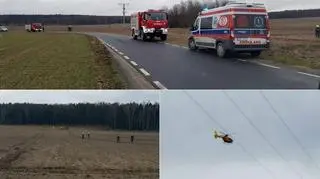 60-latek wycinał drzewo w lesie