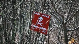 60 proc. nierozbrojonych pól minowych znajduje się w lasach Bośni i Hercegowiny