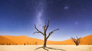 A Night at Deadvlei