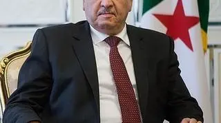 Abdelmalek Sellal