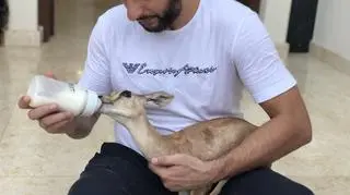 Afridi karmiący sarnę, która również przebywała w jego domu