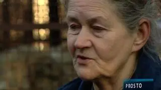 Agnieszka Brzezińska prowadzi schronisko "Azyl pod psim aniołem" (TVN24)