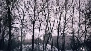 Agnieszka Rayss, No Mans Land, Grand Prix Fotofestiwal 2014