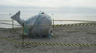 Akcja była zgłoszona, organizatorzy mieli wszyskie konieczne zgody