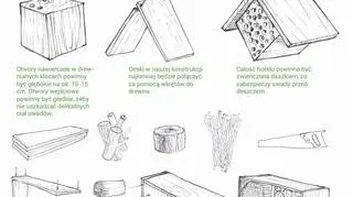 Akcję wsparło ponad pięć tysięcy osób