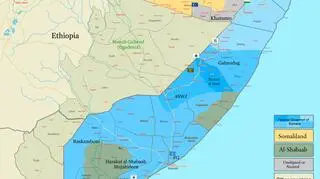 Al-Szabab wciąż kontroluje obszary m.in. w południowej części Somalii