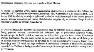 Amerykański raport