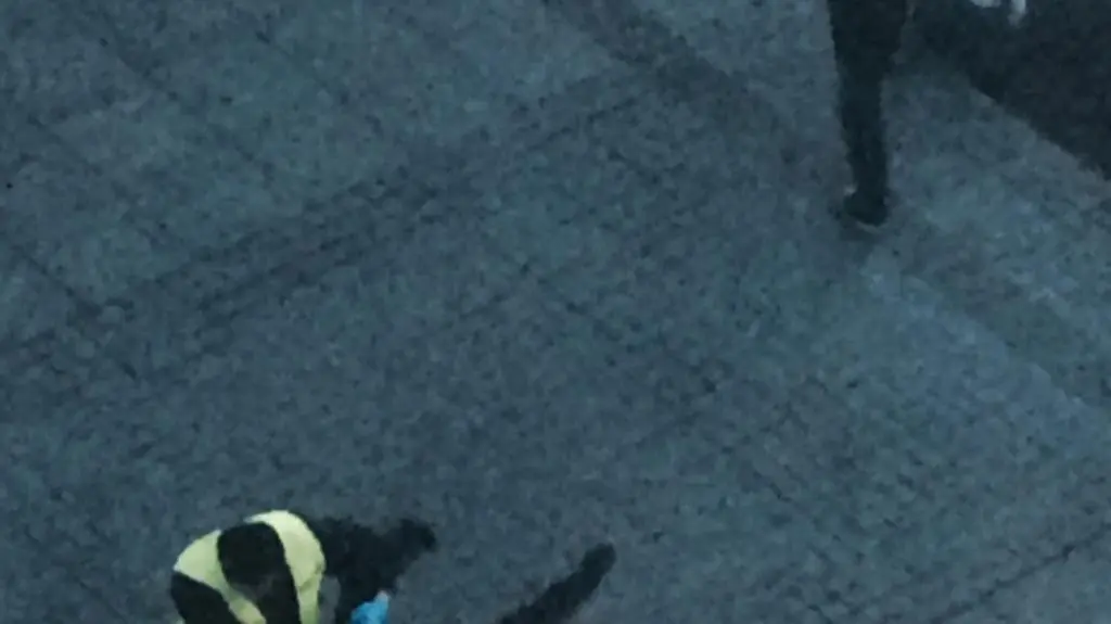 Anarchiści zajęli kamienicę w centrum Katowic