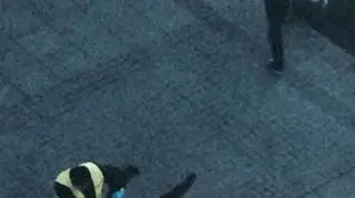 Anarchiści zajęli kamienicę w centrum Katowic