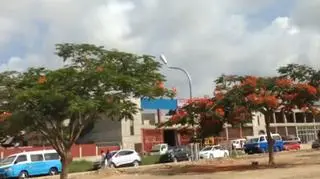 Angola z okna samochodu