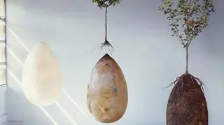 Anna Citelli, Raoul Bretzel, "Capsula Mundi"
