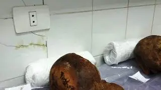 Archeolodzy badają szczątki z sarkofagu