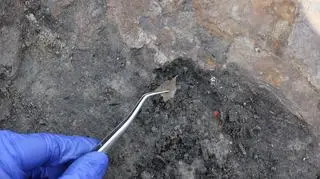 Archeolodzy dokładnie dokumentują przebieg prac 