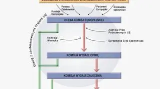 Artykuł 7. Procedura ochrony państwa prawa w Unii Europejskiej 