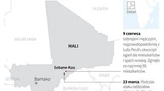 Ataki w Mali 