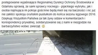 Atakowanie ptaków potępiono też na Facebooku 