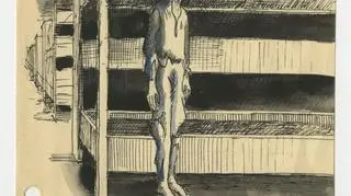Autorami pamiętnika są więźniowie Auschwitz, Dachau i Mauthausen-Gusen