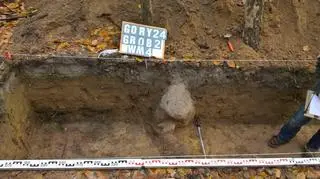 Badania sondażowe; jeden z wykopów