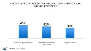 Badanie: na co wpływa członkostwo w Uniii EUropejskiej?- 2