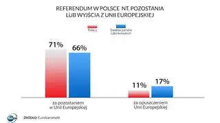 Badanie: referendum ws. wyjścia z unii - 3
