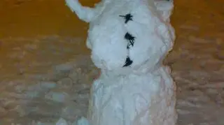 Bałwan z rogami na pożegnanie karnawału. Fot internauta