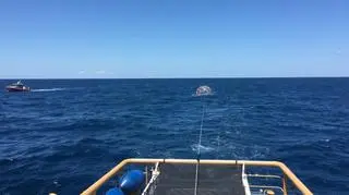 "Bańka" z właścicielem na holu wraca na Florydę