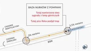 Baza nurków i nowe tropy w Zofiówce