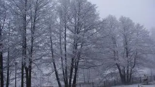 Biała Szczawna Zdrój (internautka Joanna)