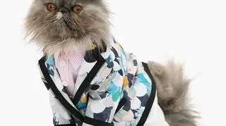 Bob, czyli Pan Marzec, gwiazdą kalendarza United Bamboo był również w ub.r.