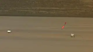 Bomba tuż przed wbiciem się w ziemię. Jej przeznaczeniem jest między innymi niszczenie bunkrów, więc jest przystosowana do detonowania na głębokości kilku metrów