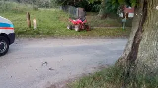 Bracia rozbili się na przydrożnym drzewie