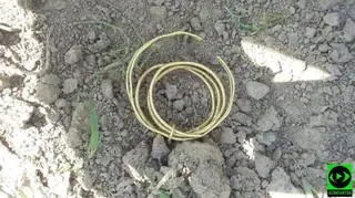 Bransoletki są datowane na epokę brązu