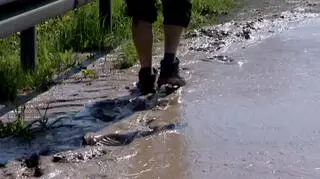 Brodzą w czekoladzie 