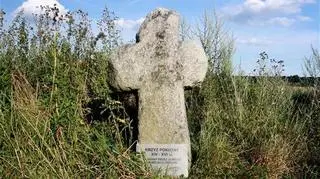 Burmistrz Żarowa zdecydował o przeniesieniu tego krzyża 