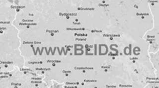 Burze w Polsce, godz. 12.15 (www.blids.de)