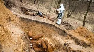 Butle na gaz z czasów I Wojny Światowej