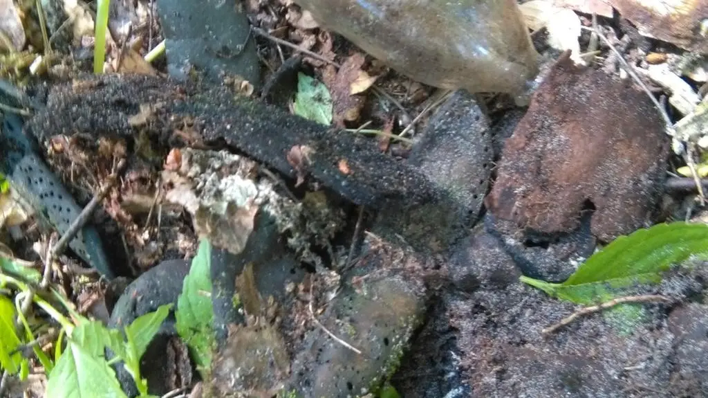 Buty wciąż są w tym samym miejscu 