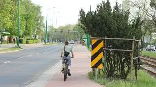 By oszczędzić "cenny" krzak drogowcy zwęzili drogę rowerową