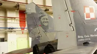 Bydgoskie zakłady specjalizują się w obsłudze myśliwców MiG-29 i szturmowych Su-22. W ograniczonym stopniu zajmuje się też C-130 Herkules i F-16