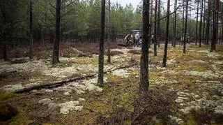 Byk uciekł z zagrody rolnika