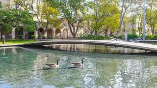 Caltech to mała prywatna uczelnia z Pasadeny, która ma zaledwie 2,3 tys. studentów i 300 wykładowców